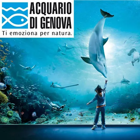 Giorgio Harbour *